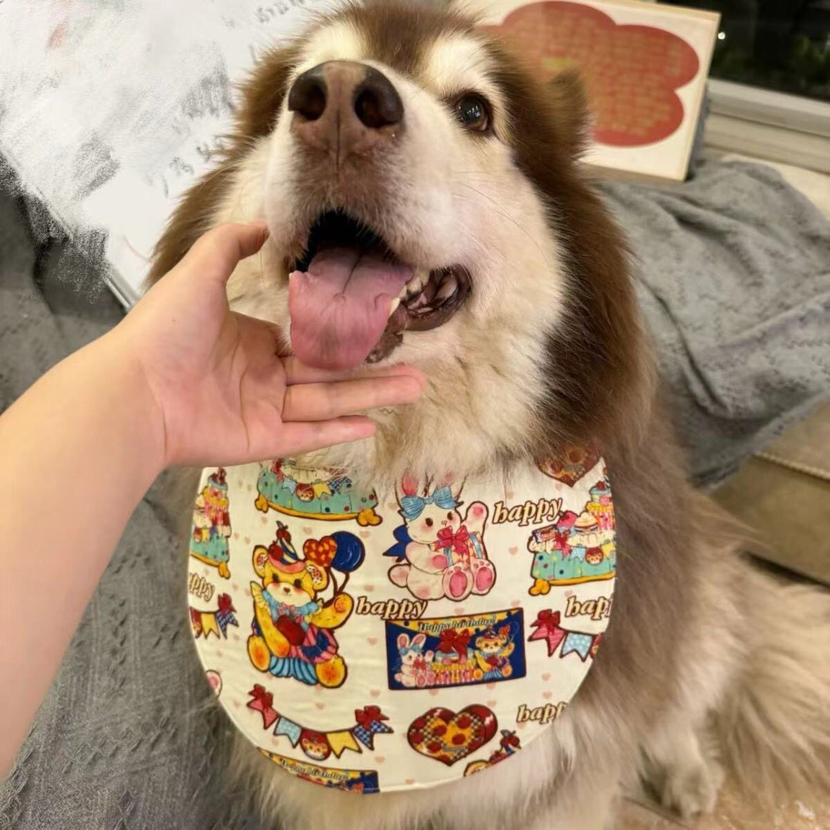 阿拉斯加萨摩金毛宠物狗狗口水巾可爱围脖吃饭防脏大型犬宠物围兜