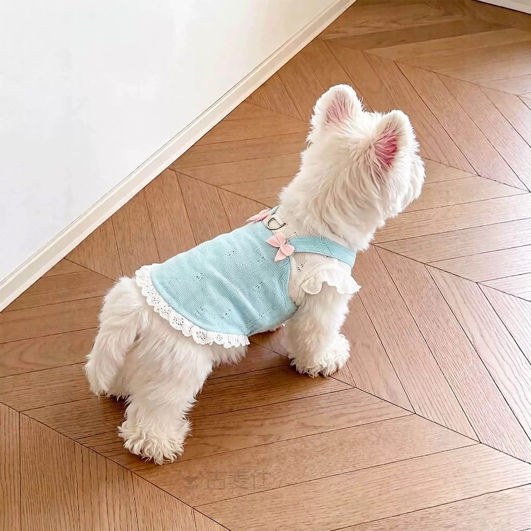 宠物狗狗衣服夏季薄款背心小型犬比熊泰迪2026新款猫咪吊带可牵引