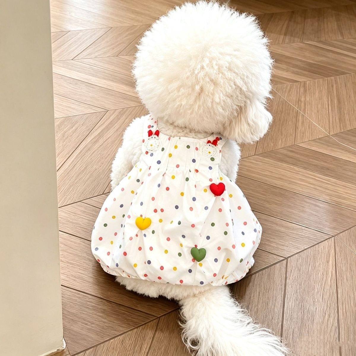 彩色波点连衣裙宠物衣服猫咪小型犬小体狗狗夏季吊带裙子马尔济斯