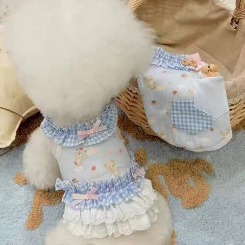 宠物衣服狗狗超萌蓝天色小熊情侣装中小型宠物马尔济斯比熊泰迪款