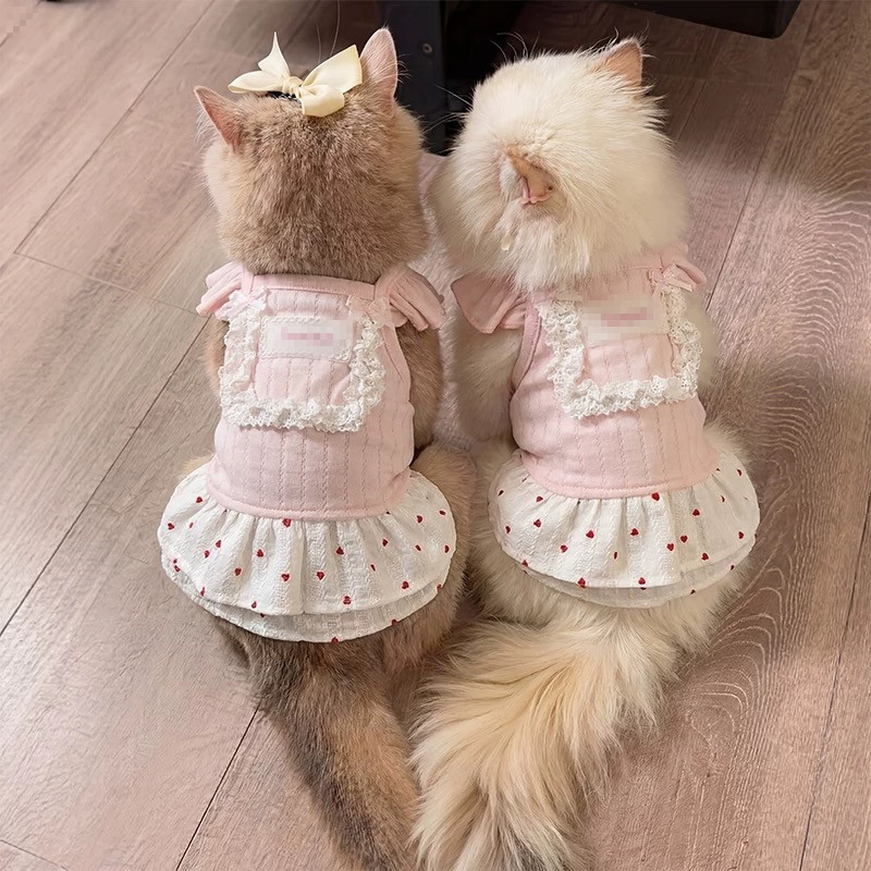 泰迪裙子小狗狗夏季衣服宠物小型幼犬比熊博美约克夏猫咪春夏薄款