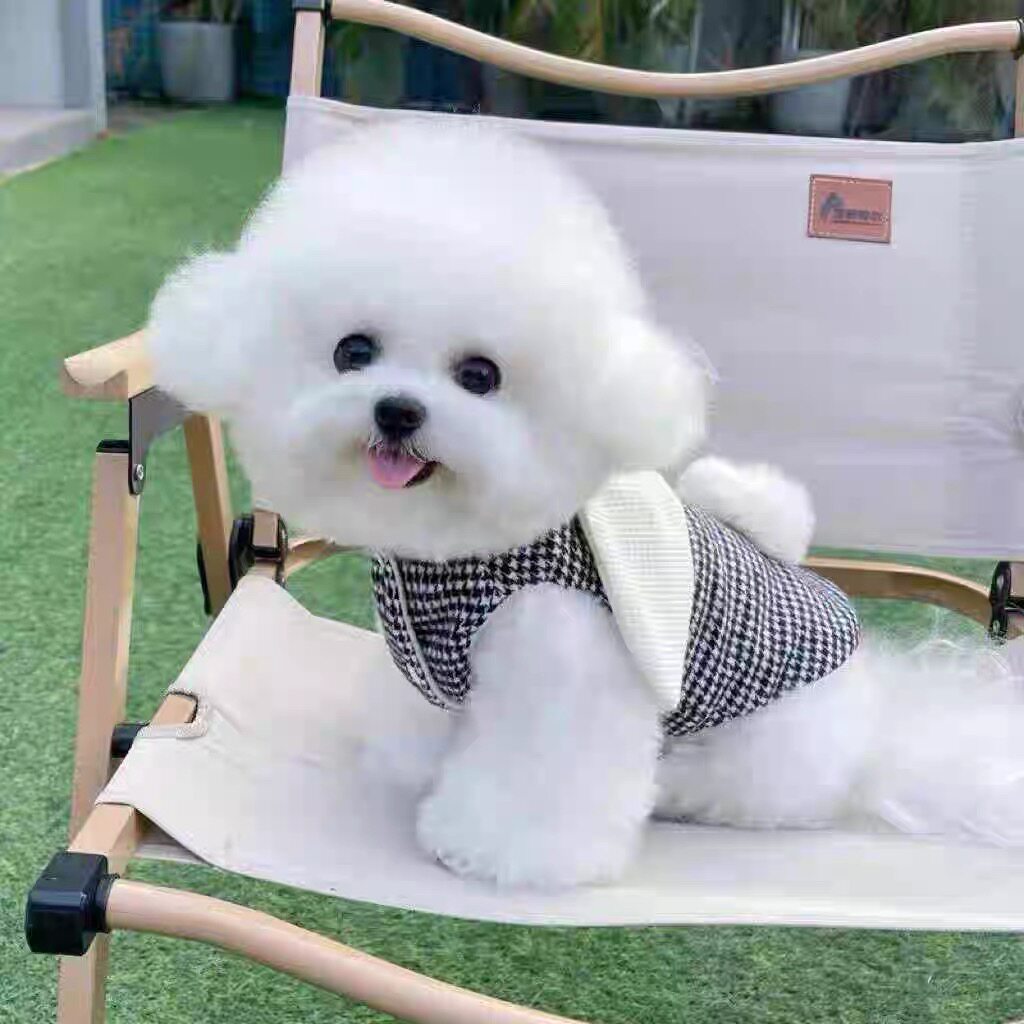 宠物狗狗衣服秋冬新款千鸟格