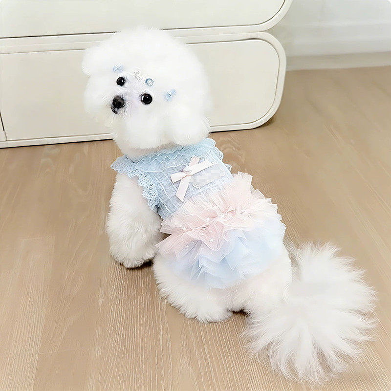 狗狗公主裙子小型犬小体夏季薄款猫咪衣服夏日连衣裙比熊泰迪贵宾