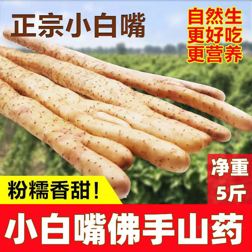 小白嘴山药佛手野生山药粉糯香甜