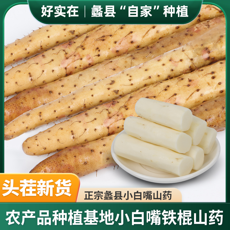 小白嘴山药比河南铁棍山药更糯
