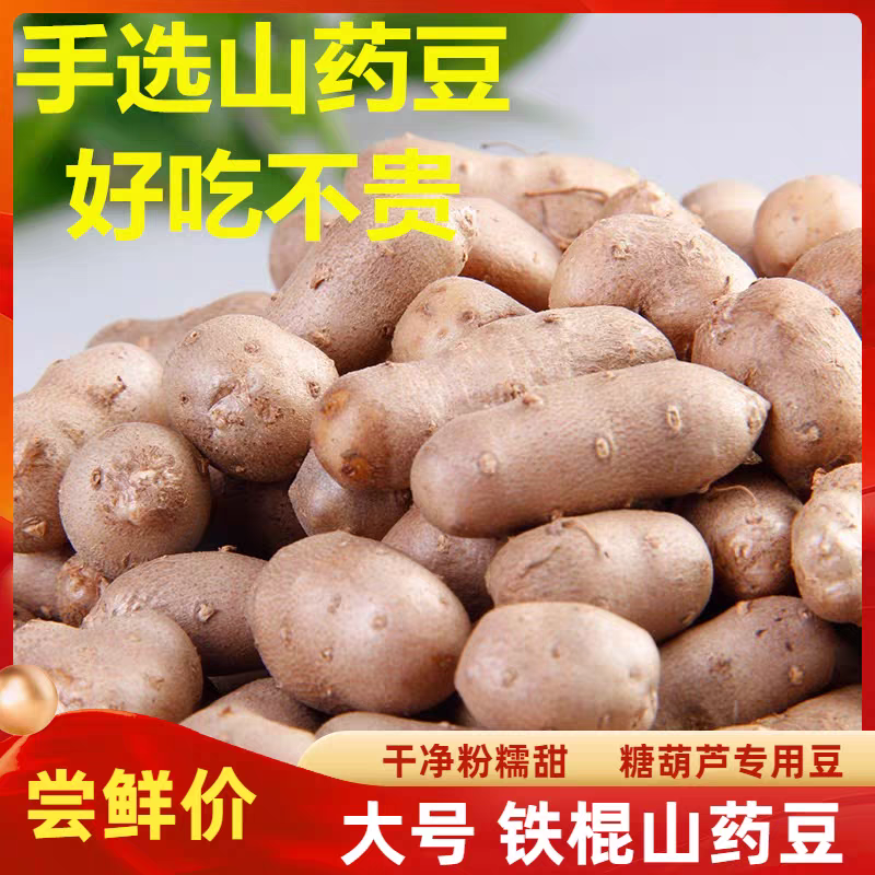 正宗河北小白嘴山药豆铁棍山药豆农家铁杆山药蛋冰糖葫芦豆特大果