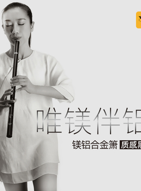 泛响 镁铝合金箫 PROBasic （质感黑）官方优惠进行中