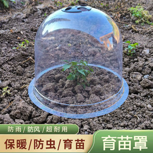 瓜果幼苗可透气保护罩盆栽防风雨钟罩种植蔬菜花卉育苗透明保温罩