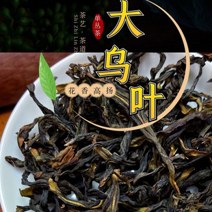 2025年新茶清香大乌叶兰花香轻火清香型凤凰单丛茶乌龙茶袋装500g
