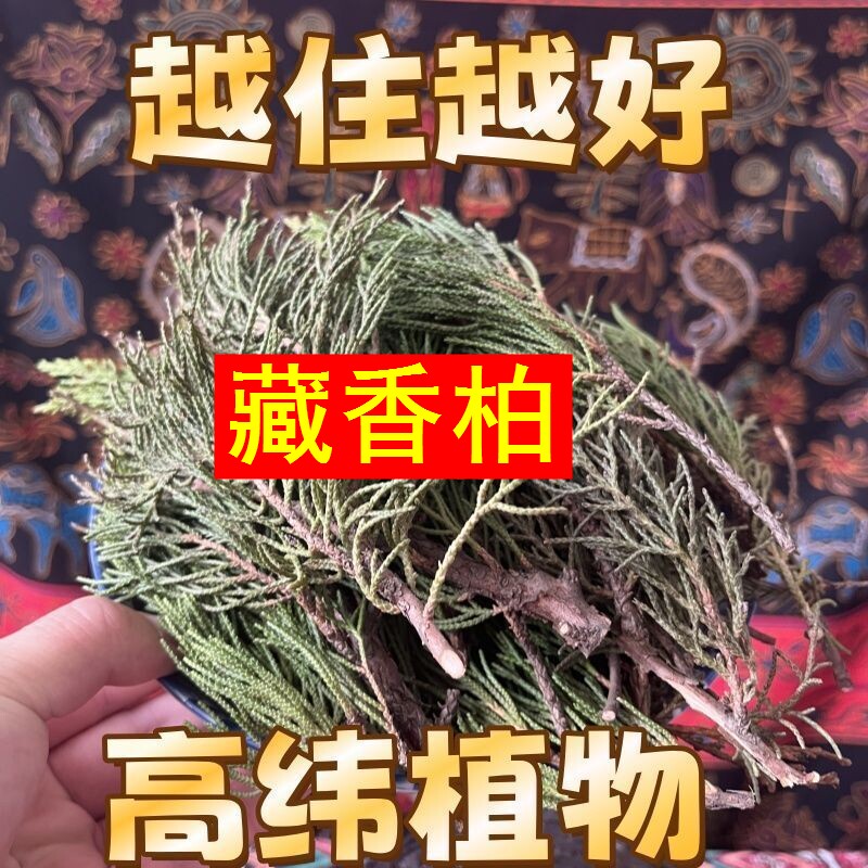 正宗西藏藏香柏枝叶植物香薰料