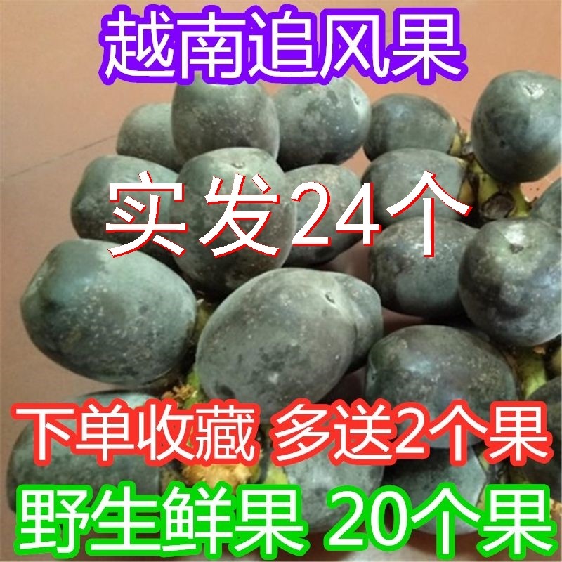 越南正宗新鲜追风果泡酒中药材刺虎鲜果24个装包邮送鸡血藤大果