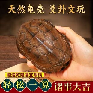 卦卜铜钱龟壳老式六爻工具天然真乌龟壳中华文玩手把件风水摇铜钱