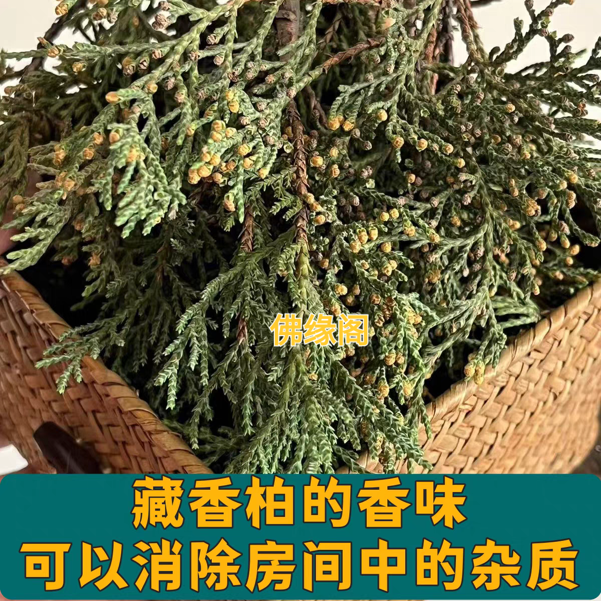 藏柏香煨桑烟供火供新鲜柏香枝叶香薰料天然藏香浓香型净化空间