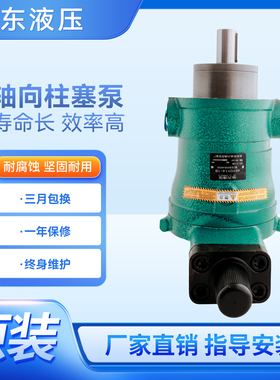 启东高压油泵10 25 40 63 80 160YCY 250YCY14-1B轴向柱塞泵液压