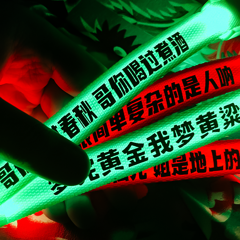 二手玫瑰周边迷笛音乐节乐迷发光手环摇滚演唱会彩色手镯应援棒潮