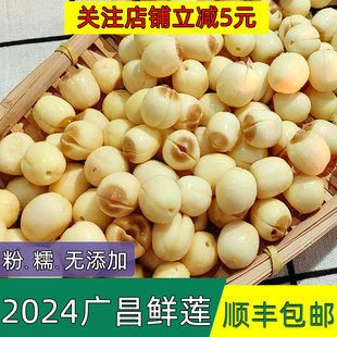 莲仙姑速冻鲜生莲子 手工剥壳去皮广昌通芯白莲 2024新莲顺丰包邮