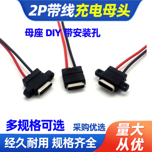 防水Type-C母座2P带线充电座