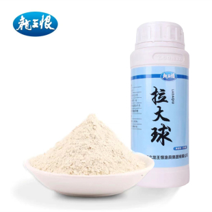 龙王恨高品拉丝粉拉大球瓶装 纯小麦蛋白鱼饵野钓拉大球拉饵钓鱼料