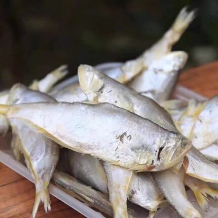 咸晒黄鲫鱼新鲜半干咸鱼干油扣鱼黄尖子毛扣鱼干风干干货小鱼干