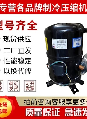 美国布里斯托全新压缩机H2NG184DPEF H2NG204DREF H2NG244DRE