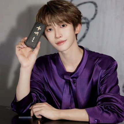 明星同款紫色丝滑缎面高级感设计奢华公子哥亮面领结痞帅垂感衬衫