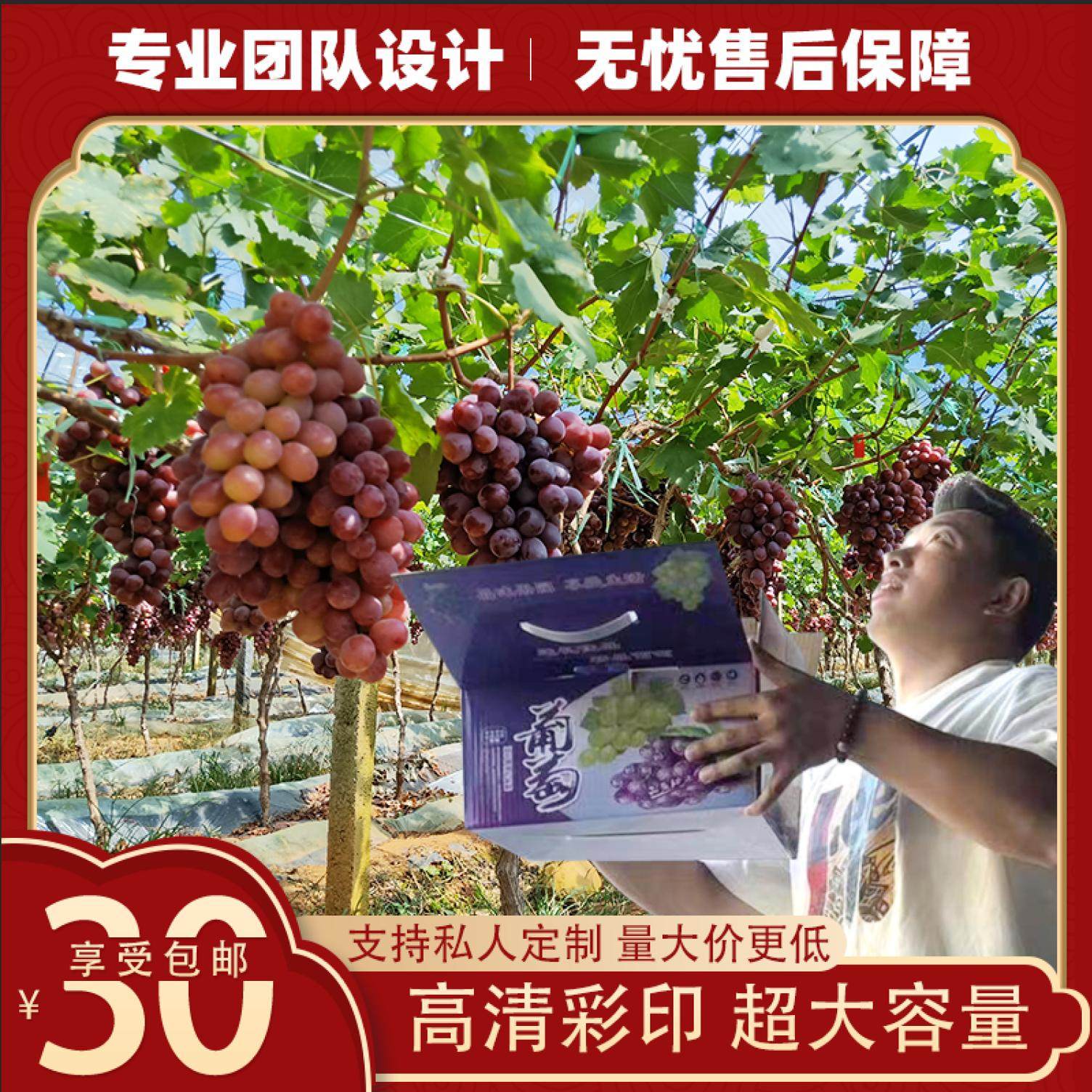 晴王手提葡萄礼盒10斤定制创意图片