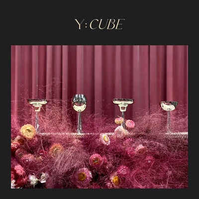 Y:CUBE | the coming不锈钢艺术红酒杯玛格丽特杯香槟马天尼杯子