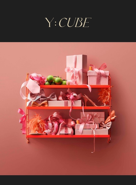 现货Y:CUBE瑞典进口String Pocket金属置物架书架厨房浴室层架