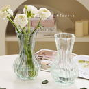 现代简约玻璃花瓶大号透明水养富贵竹玫瑰百合花插花客厅家用摆件