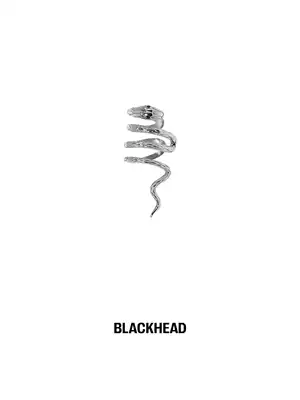 BLACKHEAD black head original design couple personality serpentine non-puncture titanium steel ear ring Fan Chengcheng right ear