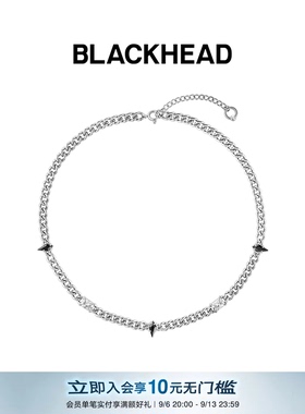 【敖瑞鹏吴磊同款】BLACKHEAD/黑头新月骑士系列骑士异形锆石项链