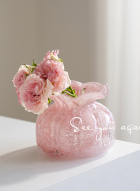 花瓶高级感客厅摆件插花创意迷你小众ins风粉色玻璃水培鲜花装饰