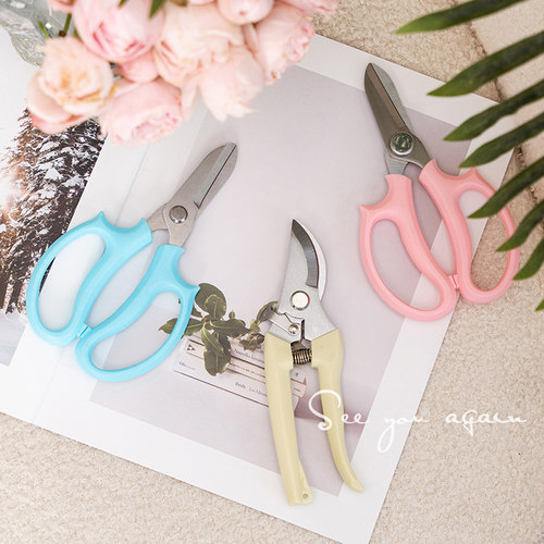 花艺剪刀花枝剪去刺园艺专用工具