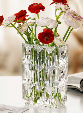 高级感ins风花瓶玻璃水晶透明水养鲜花插花客厅轻奢餐桌装饰摆件