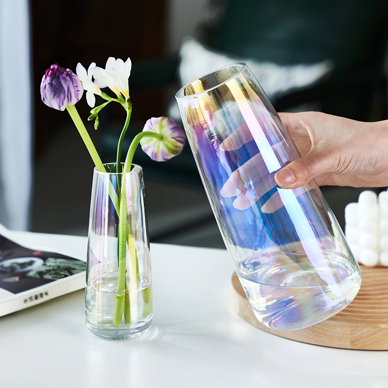 韩国ins风简约玻璃花瓶透明幻彩水养水培插花鲜花客厅北欧小摆件