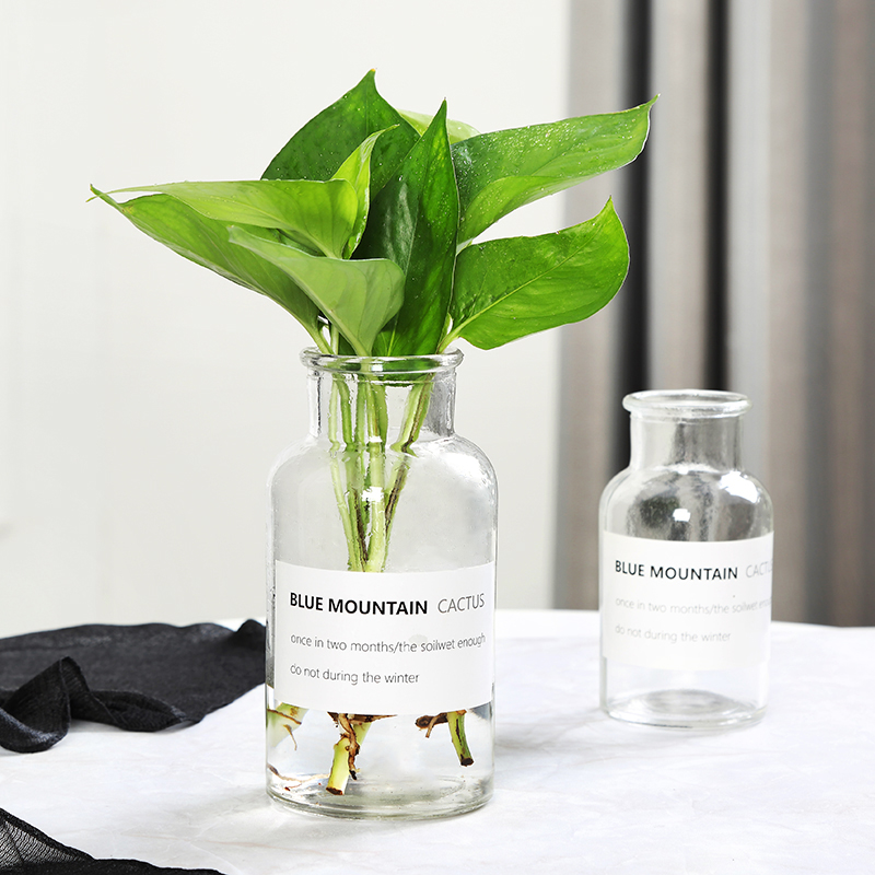 European style Glass Vase transparent originality Beam port flower arrangement desktop Decoration Hydroponic plants Green basket Simplicity vasein the Flower delivery/Flowers simulation/Plants gardening , Vase/Flower/Flowerpot/Flower (New) , Vase  category - from Buy2taobao.com to provide professional Taobao agent buy service