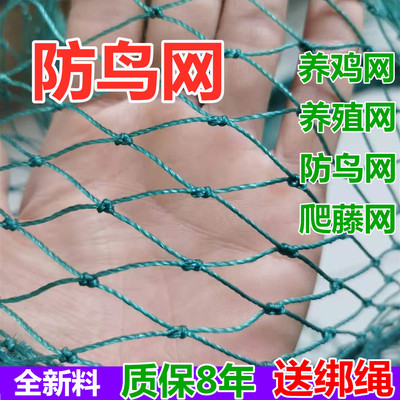 防鸟尼龙线大棚网鱼塘