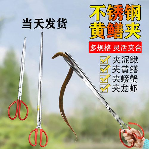 黄鳝专用夹子不锈钢加厚鳝鱼夹