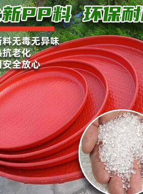 塑料粮食筛子圆簸箕晒茶萝卜干晒东西家用粗筛细孔养蚕晒干货