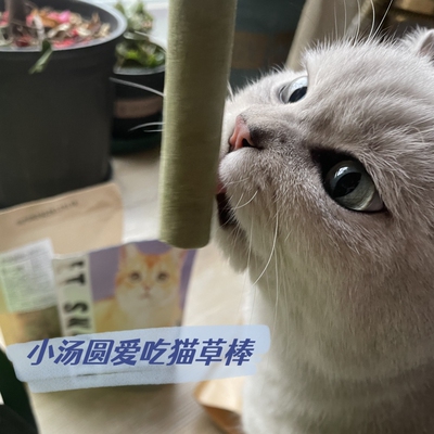 慕熙猫草磨牙棒宠物零食去毛球温和排毛即食猫咪零食幼猫成猫通用