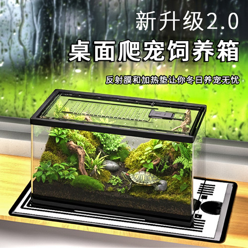 睫角蛇恒温蜥蜴亚克力爬宠饲养箱