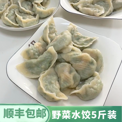 野菜水饺素馅饺子速食冷冻商用半成品槐花鸡蛋茴香蒲公英荠菜食品