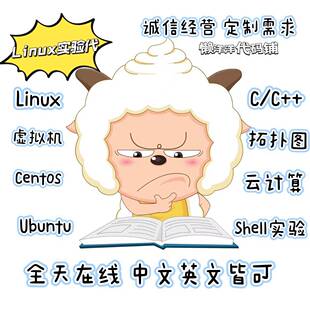Linux实验代写shell编程c语言代做操作系统脚本docker虚拟机报告