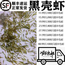 黑壳虾草缸清洁虾乌龟龙鱼饲料除藻虾观赏虾工具虾草虾活体虾米虾