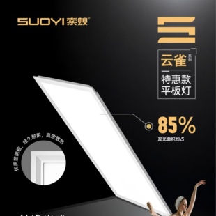索蚁照明led平板灯厨房卫生间集成吊顶灯600*600办公室扣板面板灯