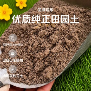 土园土天然优质田园土山东滕州种植土壤通用型种花土种菜土黄泥土
