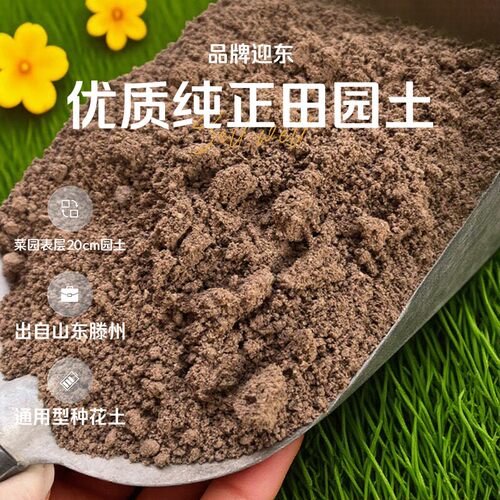 迎东优质田园土纯泥土种菜专用土