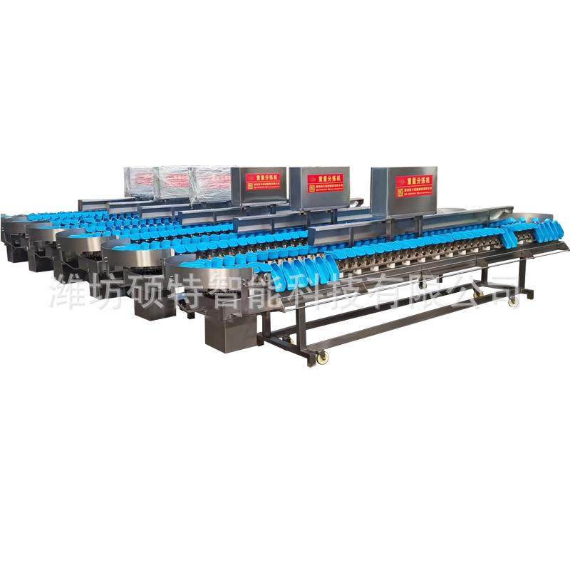 鸡腿多级重量分选机海蛎子清洗分拣生产线厂家现货销售,清洗/食品/商业设备,肉制品加工设备,淘宝优惠券,粉丝福利购,淘宝优惠卷