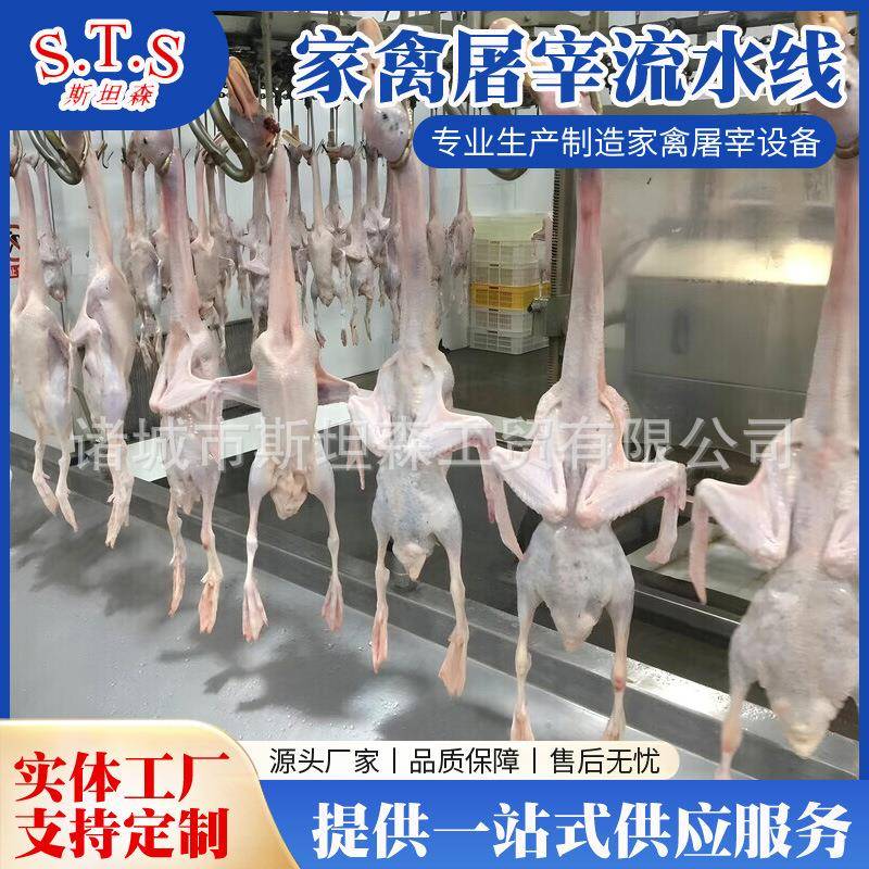 自动杀鸭设备 鸭屠宰流水线设备厂家 自动宰鸭线设备生产厂家
