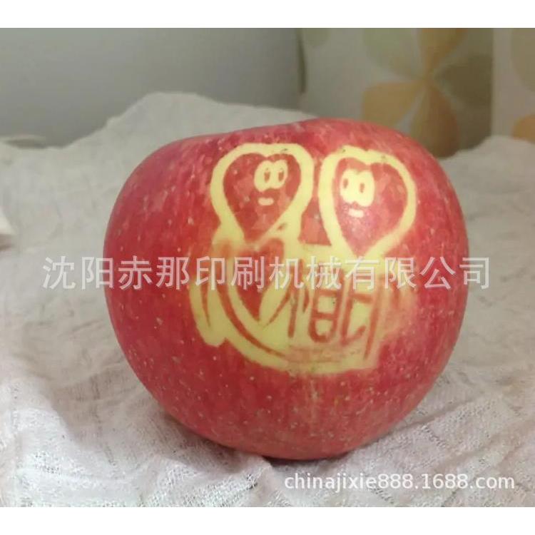 辽宁沈阳苹果印字机 大石桥水果打字机 设备印刷耗材一站式服务